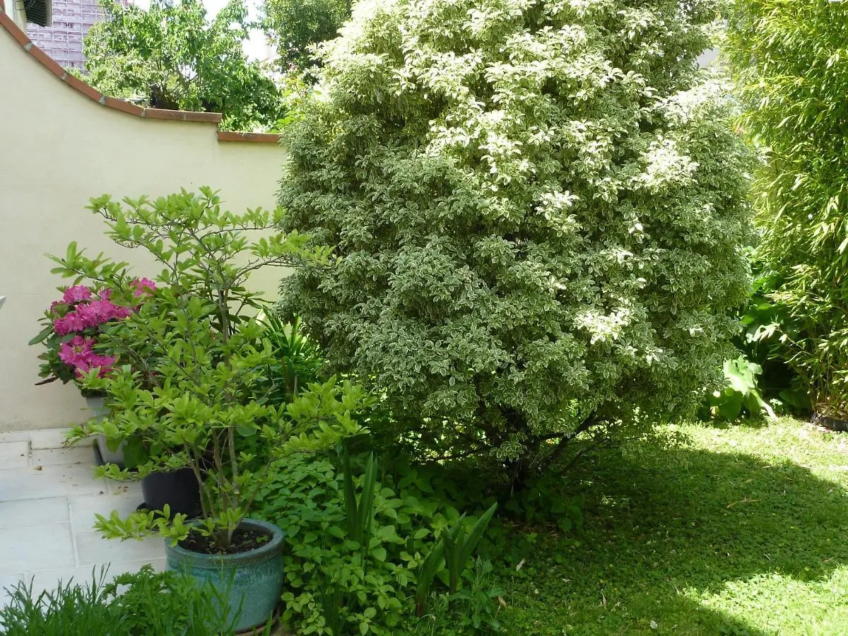 Gite Aux Minimes - Au Jardin Des Alouettes Toulouse